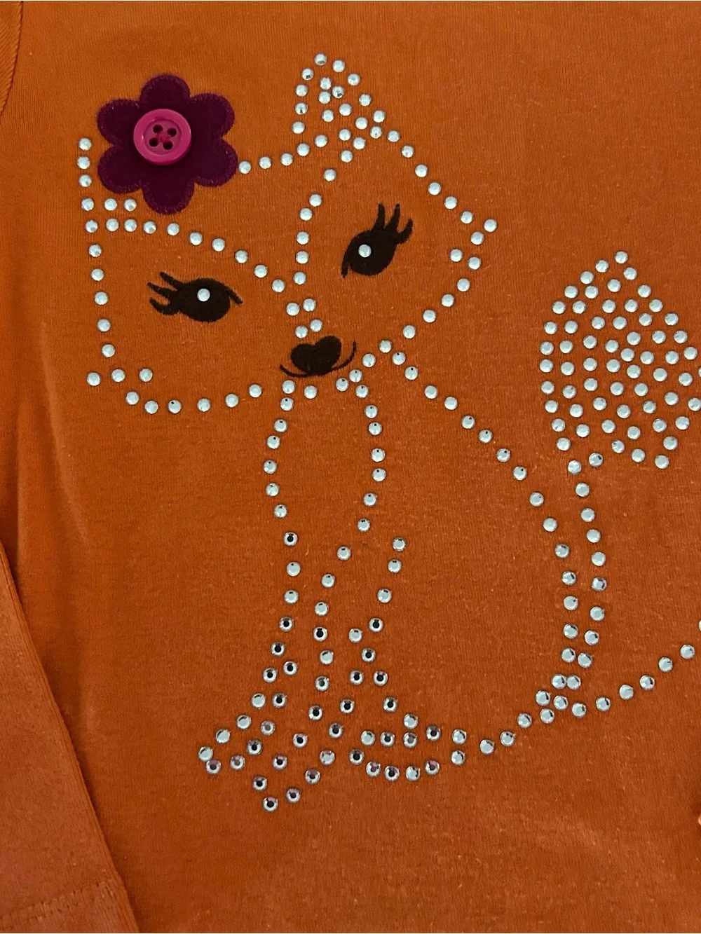 Gymboree 2013 Fashionable Fox Rhinestone Long Sleeve Top